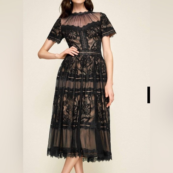 Tadashi Shoji Dresses & Skirts - 🎉Sale🎉 Tadashi Shoji - Illusion Neckline Sheer Lace Tea Length Dress